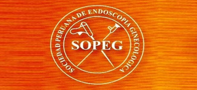 Sociedad Peruana de Endoscopia Ginecológica (SOPEG)
